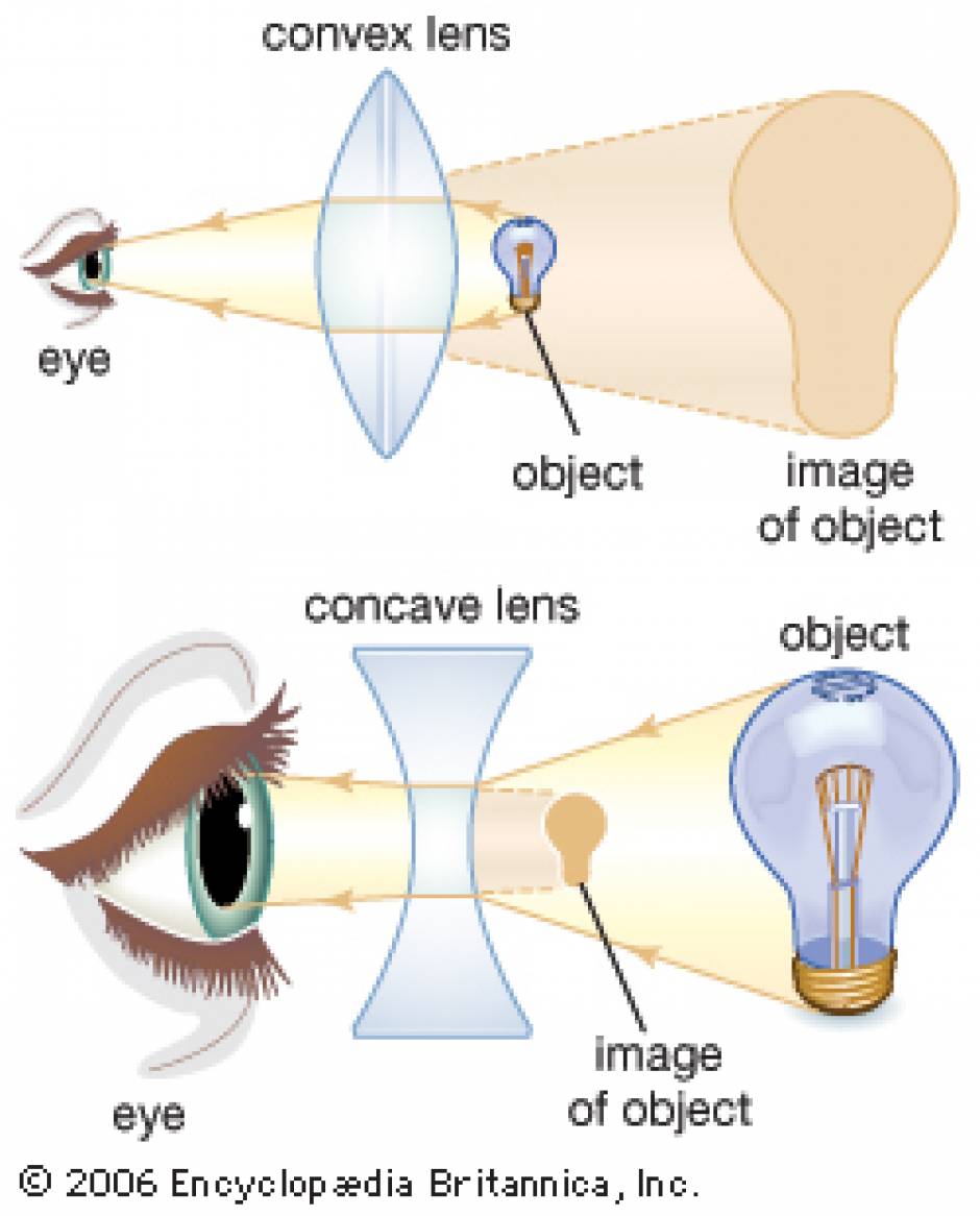 العدسات المحدبة والمقعرة Convex and Concave Lens - لغة الروح